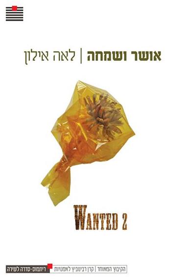 עטיפת הספר אושר ושמחה | לאה אילון