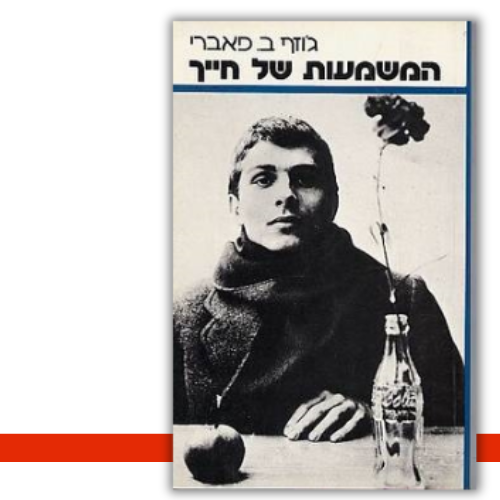 עטיפת הספר המשמעות של חייך | ג'וזף פאברי
