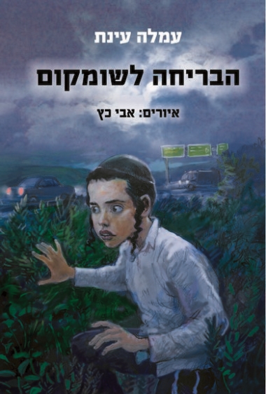עטיפת הספר הבריחה לשומקום | עמלה עינת
