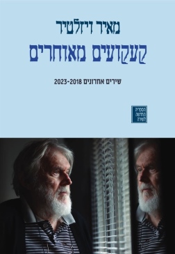 קעקועים מאוחרים - מאיר ויזלטיר עטיפה