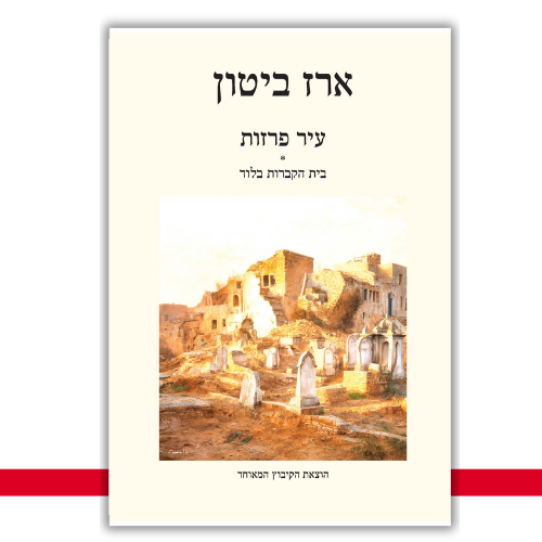 עיר פרזות ארז ביטון עטיפה