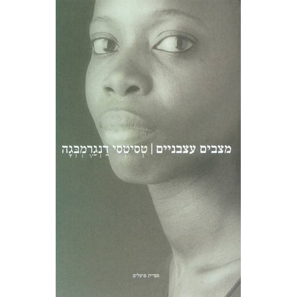 עטיפת הספר מצבים עצבניים | טסיטסי דנגרמבגה