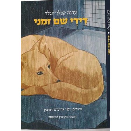 עטיפת הספר דידי שם זמני | עדנה קפלן-הגלר