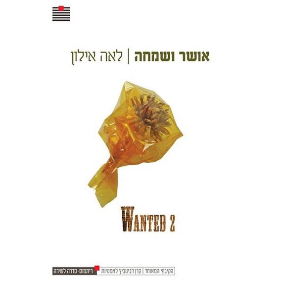 עטיפת הספר אושר ושמחה | לאה אילון