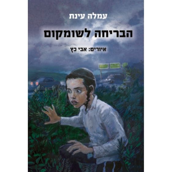 עטיפת הספר הבריחה לשומקום | עמלה עינת
