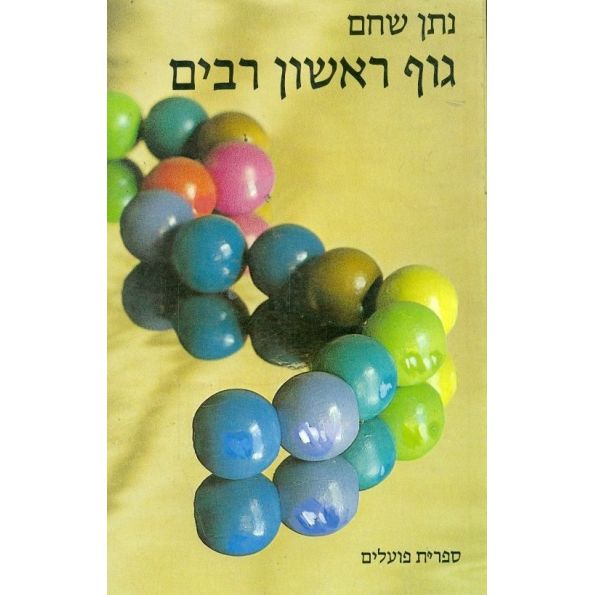 עטיפת הספר גוף ראשון רבים | נתן שחם