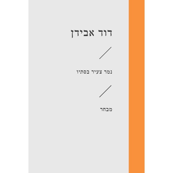 עטיפת הספר נמר צעיר בסתיו | דוד אבידן