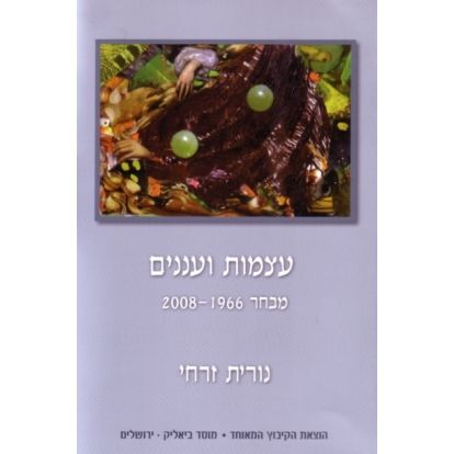 עטיפת הספר עצמות ועננים: מבחר שירים, 2008-1966 | נורית זרחי
