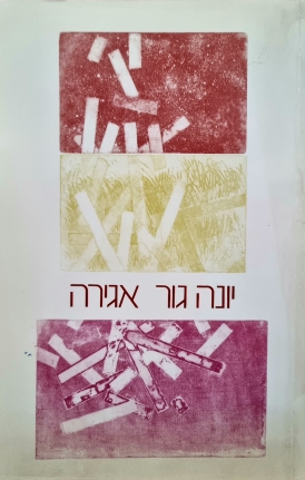 עטיפת הספר אגירה | יונה גור