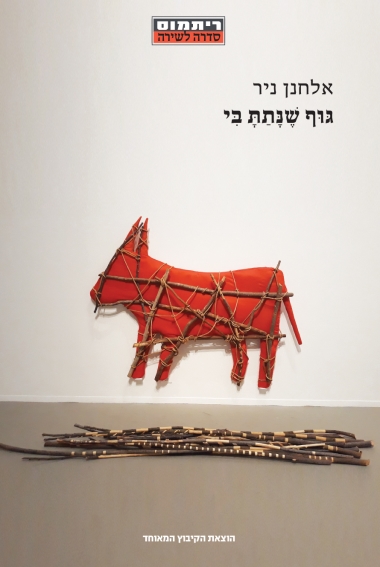 עטיפת הספר גוף שנתת בי | אלחנן ניר