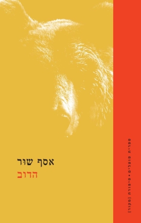 הדוב אסף שוּר - עטיפה