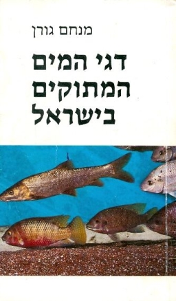 עטיפת הספר דגי המים המתוקים בישראל | מנחם גורן