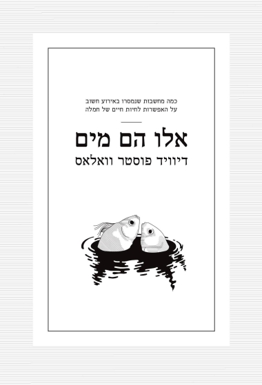 עטיפת הספר אלו הם מים | דיגיטלי | דיוויד פוסטר וואלאס 