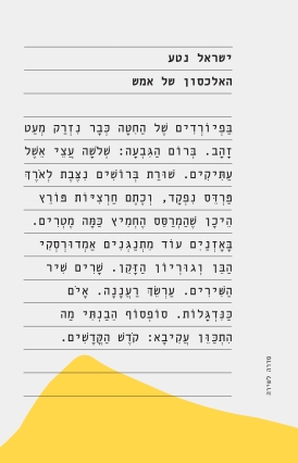 עטיפת הספר האלכסון של אמש | ישראל נטע