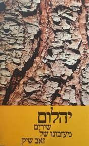 עטיפת הספר יהלום | זאב שיק 