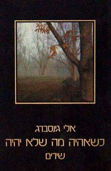 עטיפת הספר כשאהיה מה שלא אהיה | אלי גינזבורג 