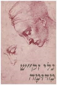 עטיפת הספר מדומה | נלי זק"ש