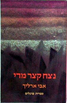 עטיפת הספר נצח קצר מידי | אבי ארליך 