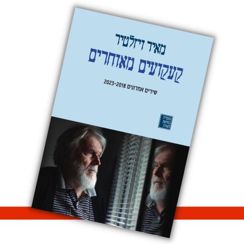 קעקועים מאוחרים - מאיר ויזלטיר עטיפה