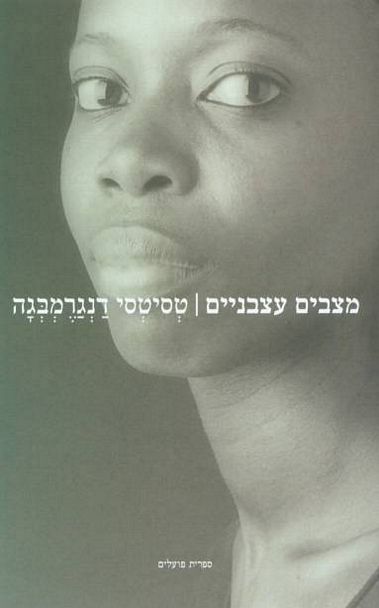 עטיפת הספר מצבים עצבניים | טסיטסי דנגרמבגה