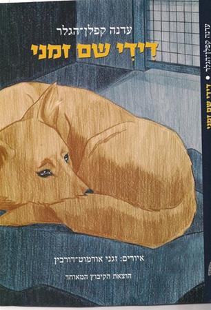 עטיפת הספר דידי שם זמני | עדנה קפלן-הגלר